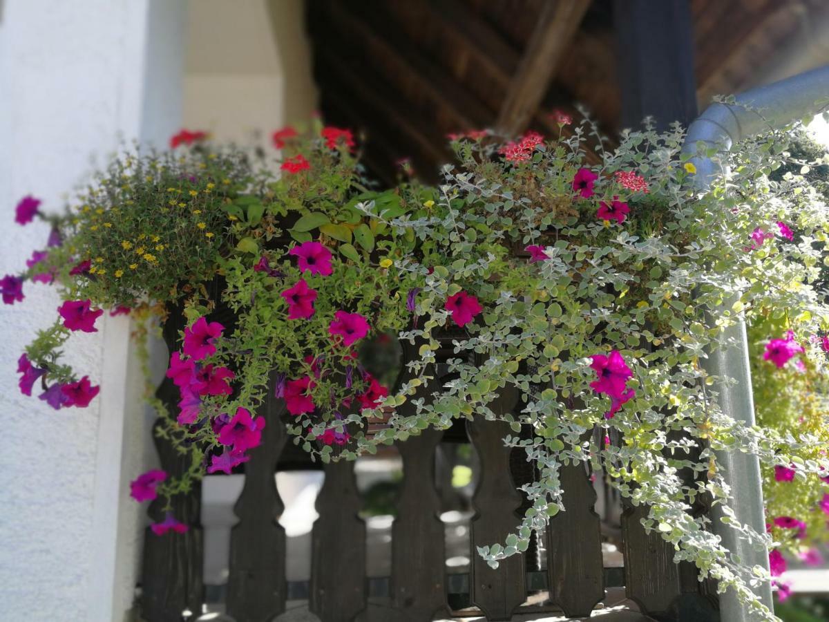 Guest House Stefanija Poljanak Exterior photo
